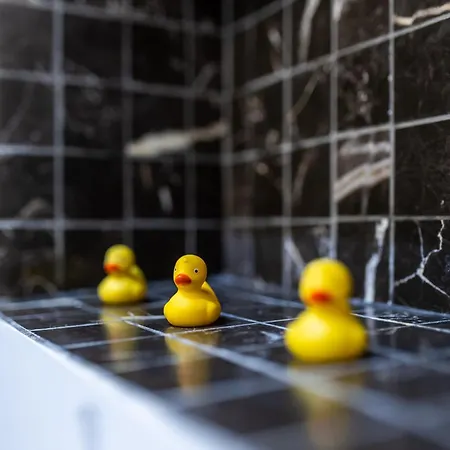 Apartmán Il Premium Apartment- 2 Br *